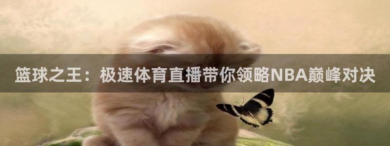 篮球之王：极速体育直播带你领略NBA巅峰对决