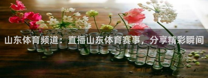 山东体育频道：直播山东体育赛事，分享精彩瞬间