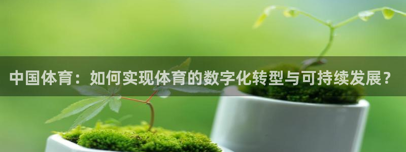 中国体育：如何实现体育的数字化转型与可持续发展？