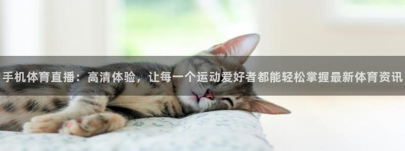 手机体育直播：高清体验，让每一个运动爱好者都能轻松掌握最新体育资讯