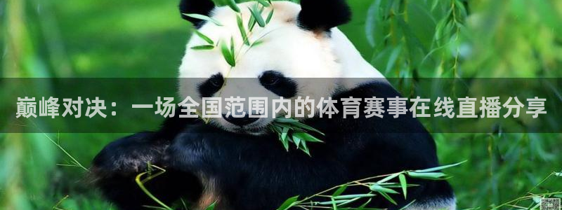 巅峰对决：一场全国范围内的体育赛事在线直播分享