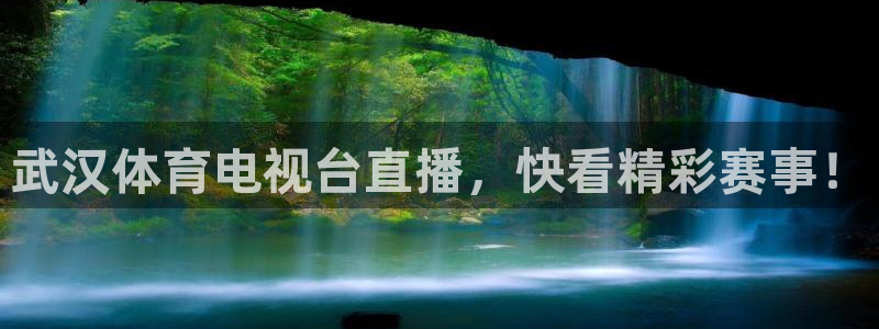 武汉体育电视台直播，快看精彩赛事！