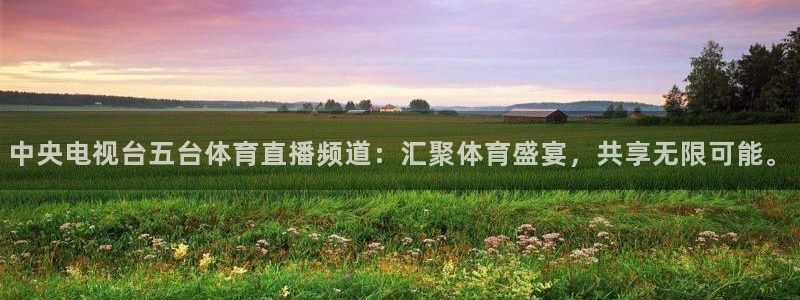 中央电视台五台体育直播频道：汇聚体育盛宴，共享无限可能。