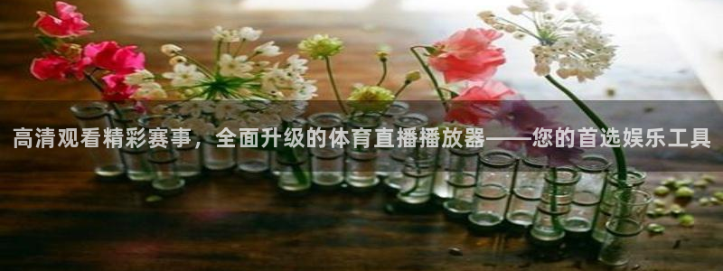 高清观看精彩赛事，全面升级的体育直播播放器——您的首选娱乐工具