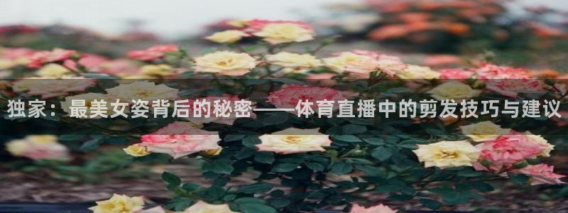 独家：最美女姿背后的秘密——体育直播中的剪发技巧与建议