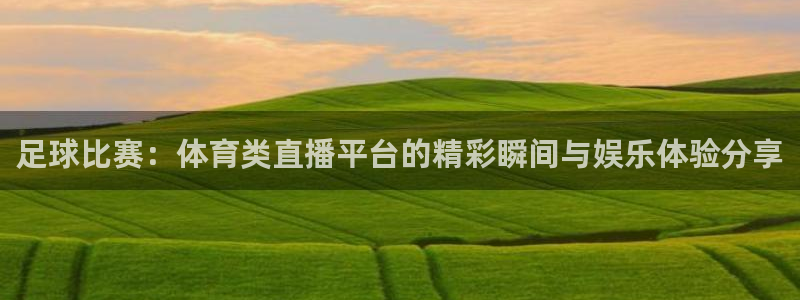 足球比赛：体育类直播平台的精彩瞬间与娱乐体验分享