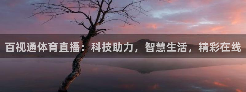 百视通体育直播：科技助力，智慧生活，精彩在线
