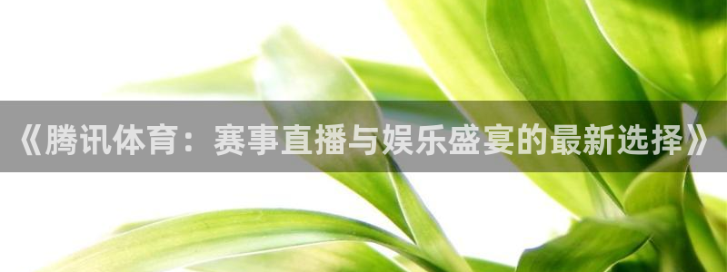 《腾讯体育：赛事直播与娱乐盛宴的最新选择》