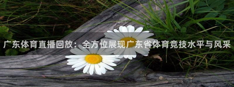 广东体育直播回放：全方位展现广东省体育竞技水平与风采
