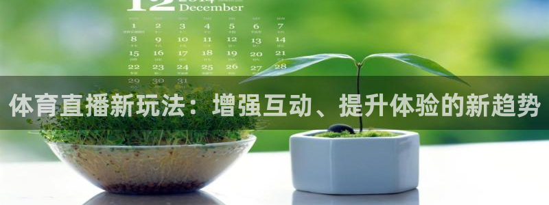 体育直播新玩法：增强互动、提升体验的新趋势