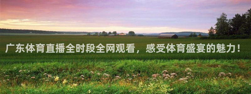 广东体育直播全时段全网观看，感受体育盛宴的魅力！